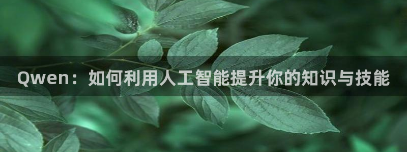 Qwen：如何利用人工智能提升你的知识与技能